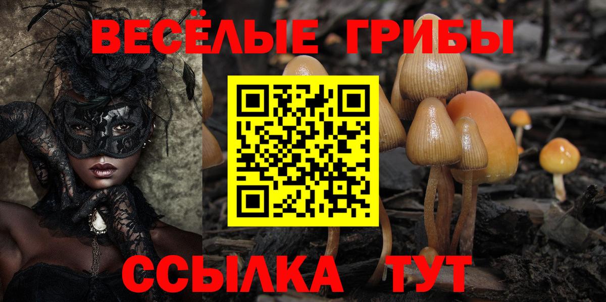 Галлюциногенные грибы Magic Shrooms  Вход с VPN  Галлюциногенные грибы мицелий  Белово 